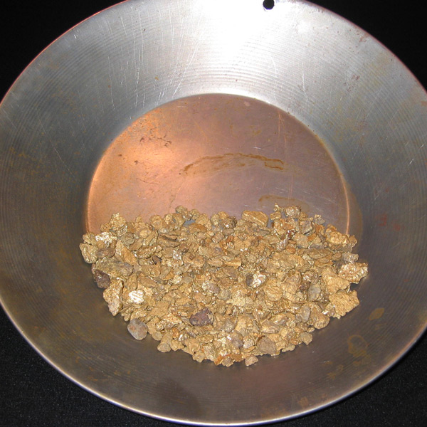 Gold in a mining pan
